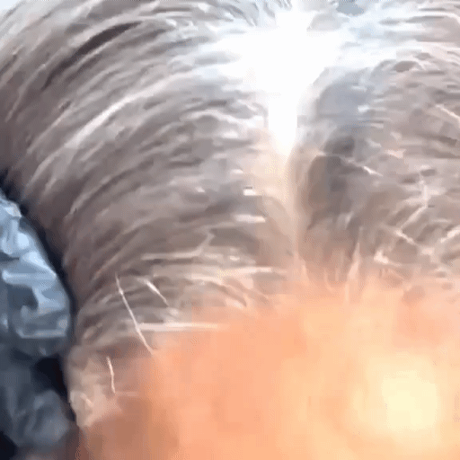 SHAMPOO TINTE PARA CUBRIR LAS CANAS 500ML