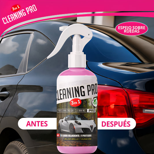 CERA AUTOBRILLANTE (500 mL)