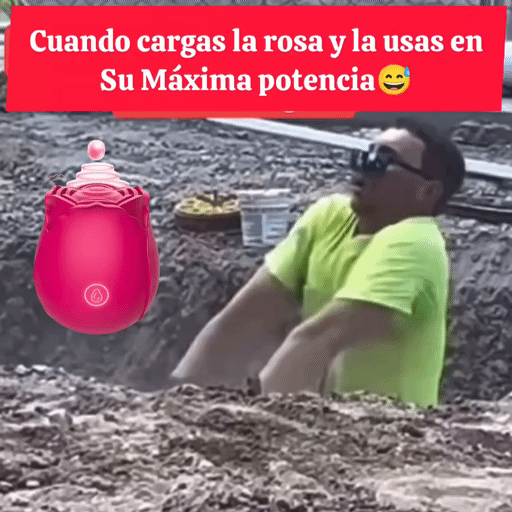 Rosa De la Felicidad