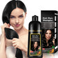 SHAMPOO TINTE PARA CUBRIR LAS CANAS 500ML